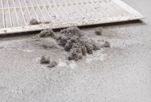 Best Air Duct Cleaning Near Me  in Cozad, NE