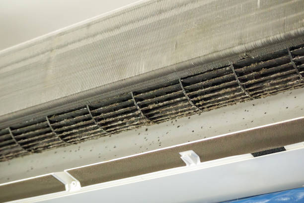 Best Air Duct Cleaning Near Me  in Cozad, NE